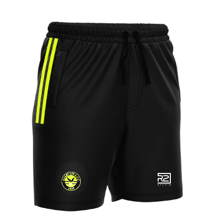 Leisure Shorts - Flo Yellow - Adults (Everton)